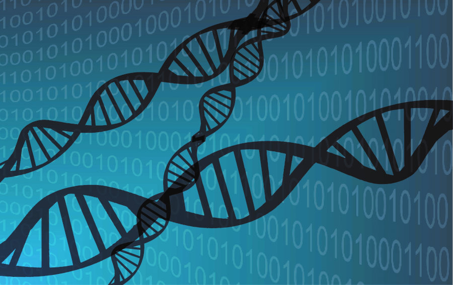 La bio-informatique